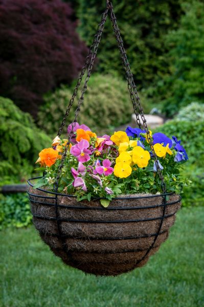 Hanging Basket Installation in Salinas